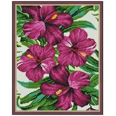 Алмазная мозаика с нанесенной рамкой Molly 40Х50 см Тропические цветы (25 цветов)