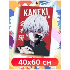 Картина по номерам Токийский Гуль (Кэн Канэки, Тока Кирисима, Ридзэ, Нисики) - 8012 В 60x40