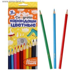 Карандаши цветные 12 цветов, корпус деревянный, треугольный, в картонной коробке Calligrata