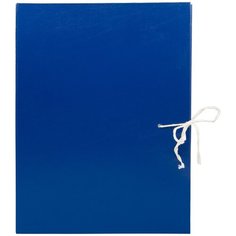 Короб Silwerhof архивный 2 завязки бумвинил корешок 120мм разобранный A4 ассорти