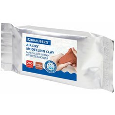 Паста BRAUBERG 224442, комплект 6 шт.