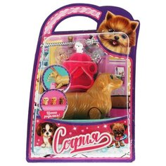 Карапуз PET-DP-S-BB Беременная собака с акс для Софии