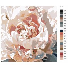 Картина по номерам T477 "розовые пионы" 70x70 Brushes Paints