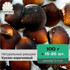 Натуральные морские ракушки FANTASY Куклис коричневый, размер - 2-4 см, отборные, набор весом 100 г (15-25 шт.)