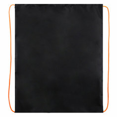 Мешок для обуви полиэстер, 1 отделение, 40*48 см, цвет черный Лунный скейт Пчелка СДС-53 Пчёлка