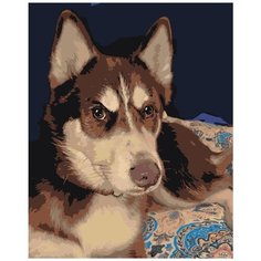 Картина по номерам Хаски 40х50 см Hobby Home