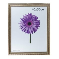 Рамка премиум 40×50 см, пластик, багет 33 мм, «Dorothy», серебро Россия