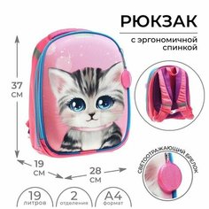 Рюкзак каркасный школьный, 37 х 28 х 19 см, Calligrata К "Котик"