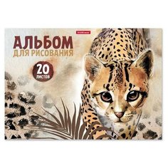 Альбом для рисования А4, Wild Cat, 2 шт Случай