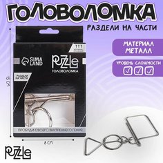 Головоломка Игры разума «Раздели на части» №8 Россия