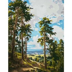 Картина по номерам на холсте на деревянном подрамнике 40 х 50 Бескрайние просторы Paintboy