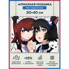 Алмазная мозаика картина "Аниме" 30х40 без подрамника, полная выкладка квадратными стразами/ Врата Штейна Даймонд Канвас