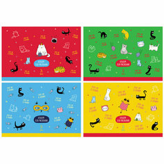 Альбом для рисования 24л, А4, на скрепке BG "Cats&Cats", 12 штук, 339413 БиДжи