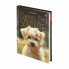 Ежедневник Альт недатированный А6 (111 х 147 мм) в линейку "SO CUTE"