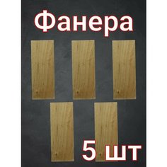 Фанера для рукоделия, детского творчества и выжигания 18х7 см 5 шт. Нет бренда