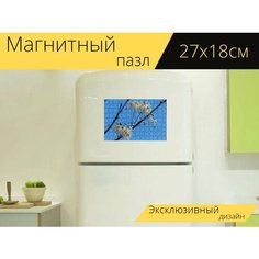 Магнитный пазл "Клематис обыкновенный, подставки для фруктов, мягкий" на холодильник 27 x 18 см. Lots Prints