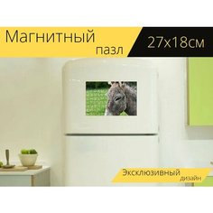 Магнитный пазл "Осел, лошадь, травоядный" на холодильник 27 x 18 см. Lots Prints