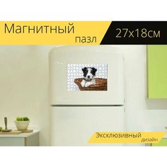 Магнитный пазл "Щенок, собаки, колли" на холодильник 27 x 18 см. Lots Prints