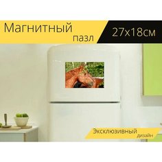 Магнитный пазл "Лошадь, подиум, каштан" на холодильник 27 x 18 см. Lots Prints
