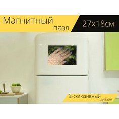 Магнитный пазл "Маникюр, гвозди, дизайн ногтей" на холодильник 27 x 18 см. Lots Prints