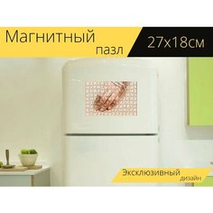 Магнитный пазл "Украшения, хна искусства, девочка" на холодильник 27 x 18 см. Lots Prints
