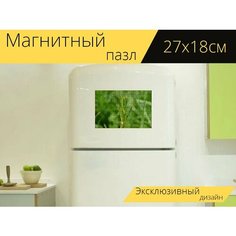 Магнитный пазл "Клейкая трава, сорняки, природа" на холодильник 27 x 18 см. Lots Prints