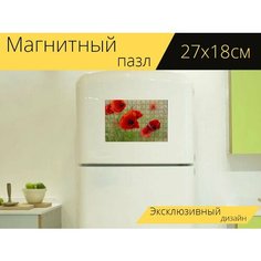 Магнитный пазл "День памяти, маки, красный" на холодильник 27 x 18 см. Lots Prints