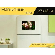Магнитный пазл "Тюльпан, цвести, розовый" на холодильник 27 x 18 см. Lots Prints