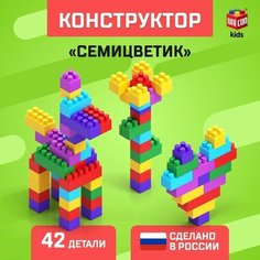 Соломон Конструктор №13 «Семицветик», 42 детали Solomon