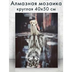Алмазная мозаика (круглая) Грозное отражение 40х50 см Colibri