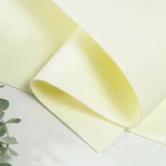 Фоамиран иранский 2 мм (шампань/107) 60х70 см, 10 штук Noname
