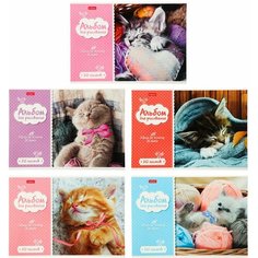 Альбом для рисования А4, Котята, Случай