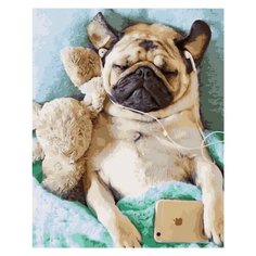 Картина по номерам Мопс меломан 40х50 см АртТойс