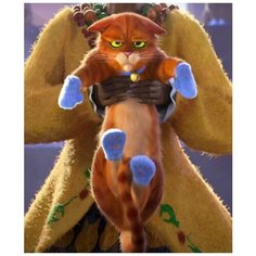 Картина по номерам Кот 40х50 см АртТойс