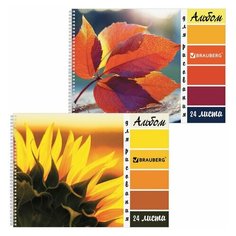 Альбом для рисования А4 24 листа гребень обложка картон BRAUBERG 205х290 мм "Макро" (2 вида), 10 шт