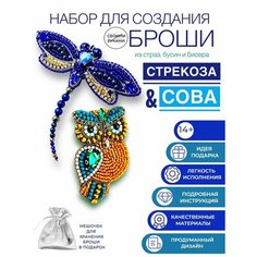 Набор для творчества создания, изготовления, вышивки украшения броши из бисера стрекоза и птица сова Нет бренда