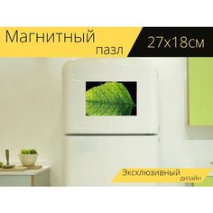 Магнитный пазл "Зеленый, листья, лист" на холодильник 27 x 18 см. Lots Prints