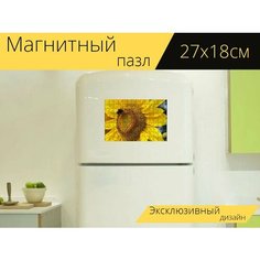 Магнитный пазл "Подсолнечник, цветок, зерновой" на холодильник 27 x 18 см. Lots Prints