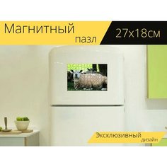 Магнитный пазл "Овец, животное, там" на холодильник 27 x 18 см. Lots Prints