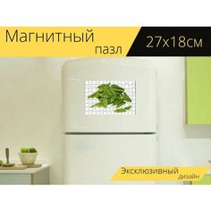 Магнитный пазл "Горох, овощи, бобовые" на холодильник 27 x 18 см. Lots Prints
