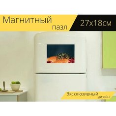 Магнитный пазл "Оса, торты, выпечка" на холодильник 27 x 18 см. Lots Prints