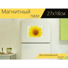 Магнитный пазл "Подсолнух, желтый, цветок" на холодильник 27 x 18 см. Lots Prints