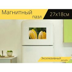 Магнитный пазл "Цветы, весна, природа" на холодильник 27 x 18 см. Lots Prints
