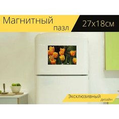 Магнитный пазл "Тюльпаны, желтые тюльпаны, цветы" на холодильник 27 x 18 см. Lots Prints