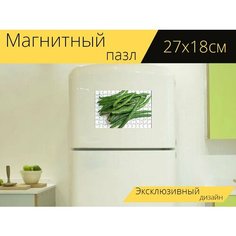 Магнитный пазл "Стручковая фасоль, фасоль, свежий" на холодильник 27 x 18 см. Lots Prints
