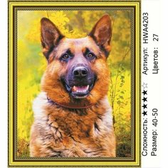 Алмазная мозаика с овчарками на подрамнике 40х50 см пейзаж HWA4203 Нет бренда