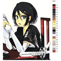 Картина по номерам Т434 "рукия кучики. Блич" 40Х50 Brushes Paints