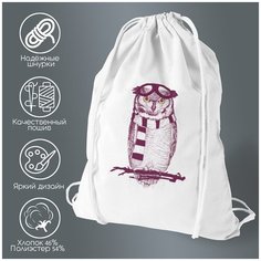Сумка для обуви CoolPodarok Птицы Сова пилот арт