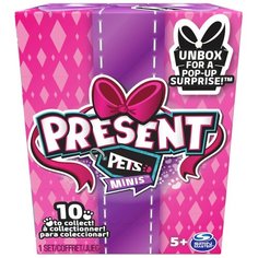 Игровой набор Spin Master Present pets minis