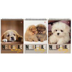 Блокнот Альт, А5 (127 х 202 мм), "собаки" 40 л, Арт. 3-40-509, обложка в ассортименте